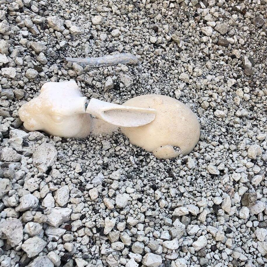 Белый кролик из сада «Дома Юпитера».