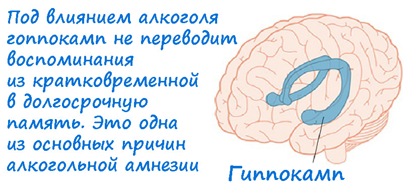 Как можно потерять память. Влияние алкоголя на память. влияние алкоголя на память человека. алкоголизм влияние на память. алкоголь влияет на память.