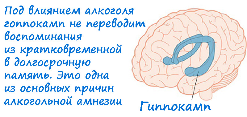 Память после. Влияние алкоголя на память. Влияние алкоголя на память человека. Алкоголизм влияние на память. Алкоголь влияет на память.