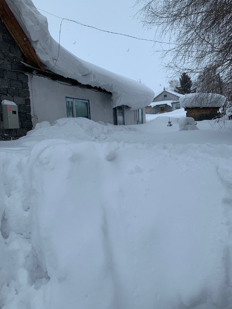 Замело дома по крыши