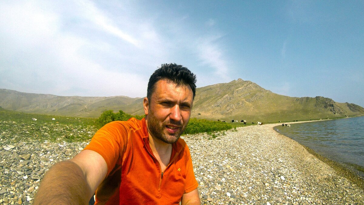 Я сижу на берегу Байкала. Коровы на заднем плане.