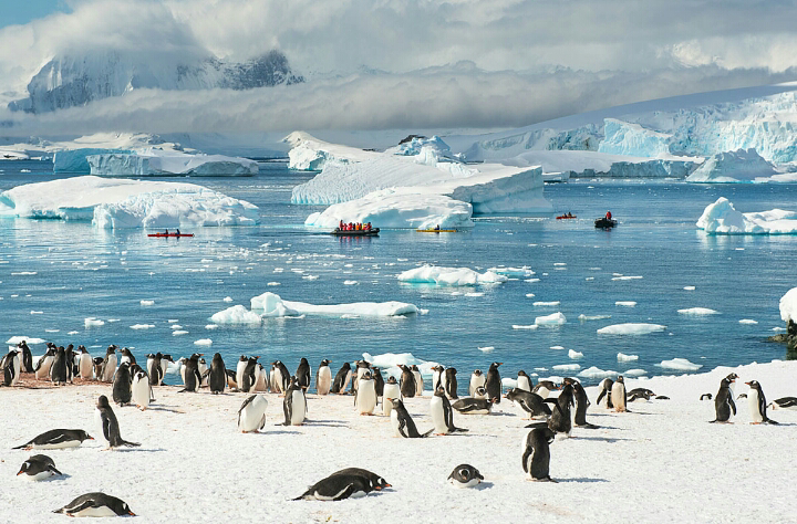 Антарктида