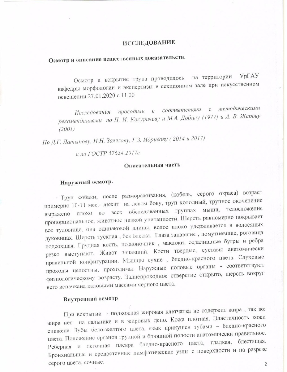 Первая страница