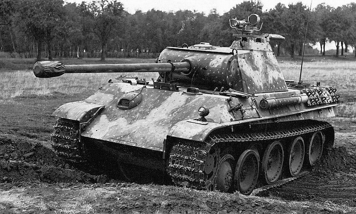 Panther 2\Королевская Пантера