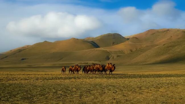 Фото из открытых источников