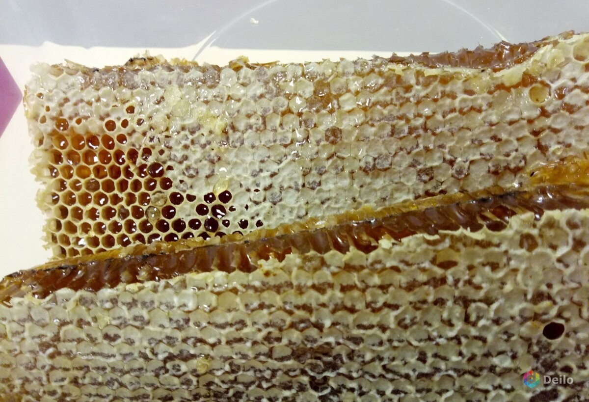  Мед в сотах