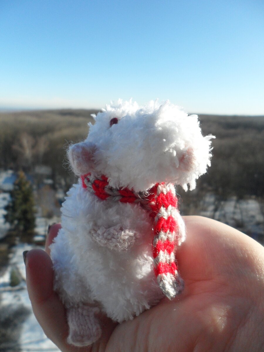 Милый мохнатик :)