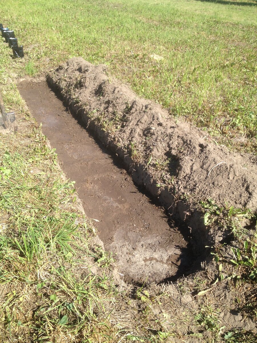 личные фото автора