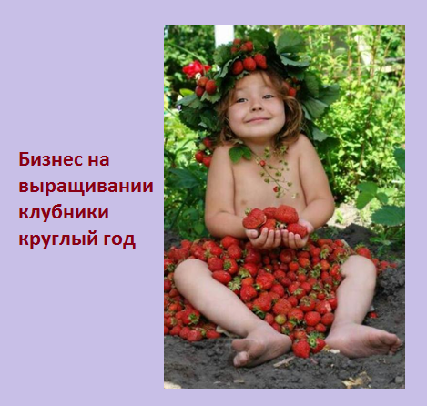 Фото с сайта http://clickpzk.com/ymS2