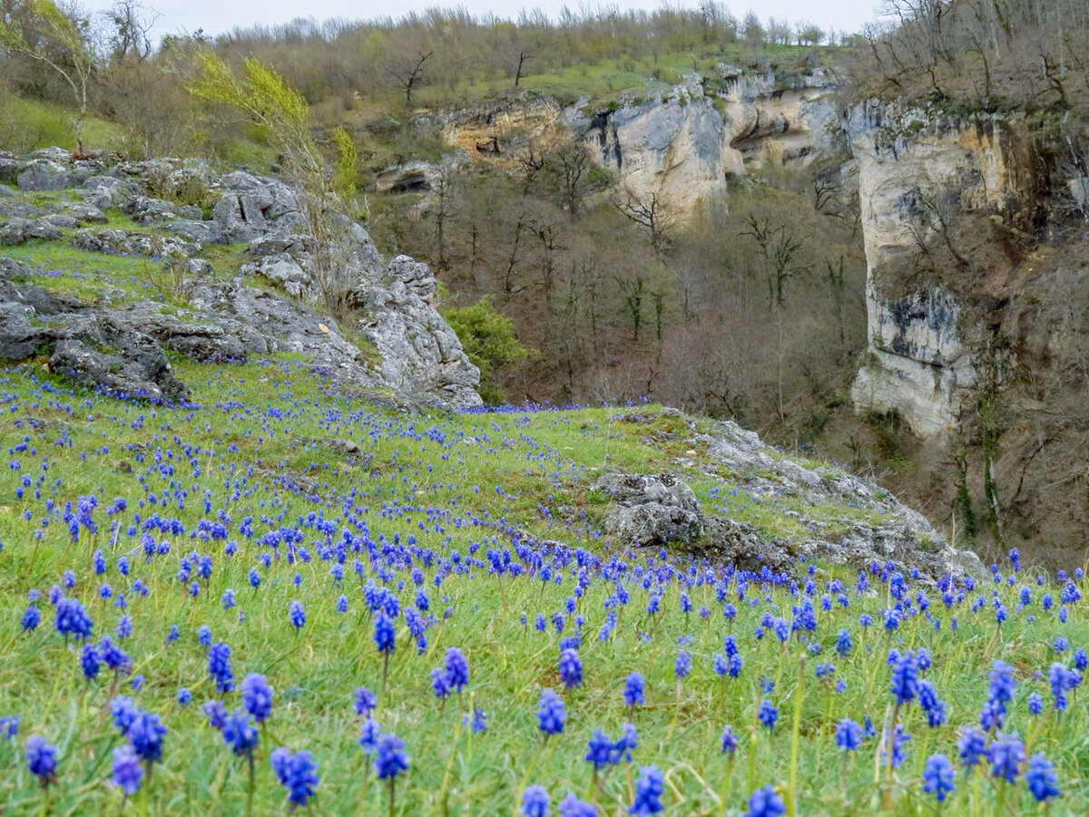 Лагонаки фото апрель