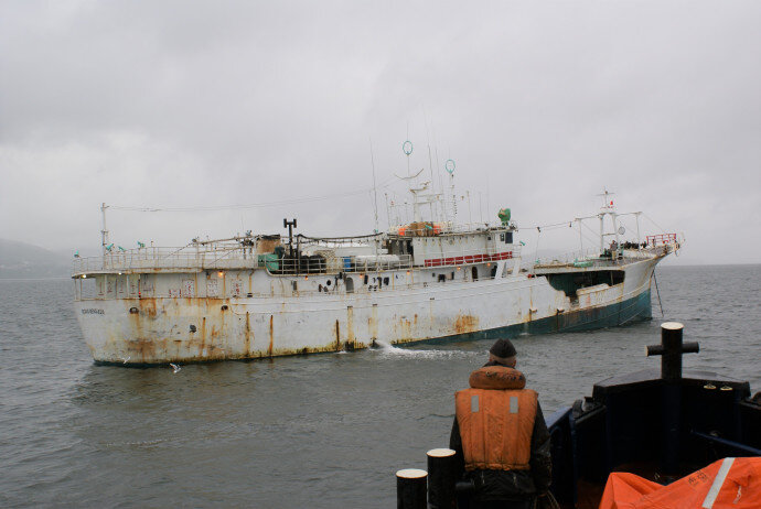 Браконьерские шхуны под «удобными» флагами