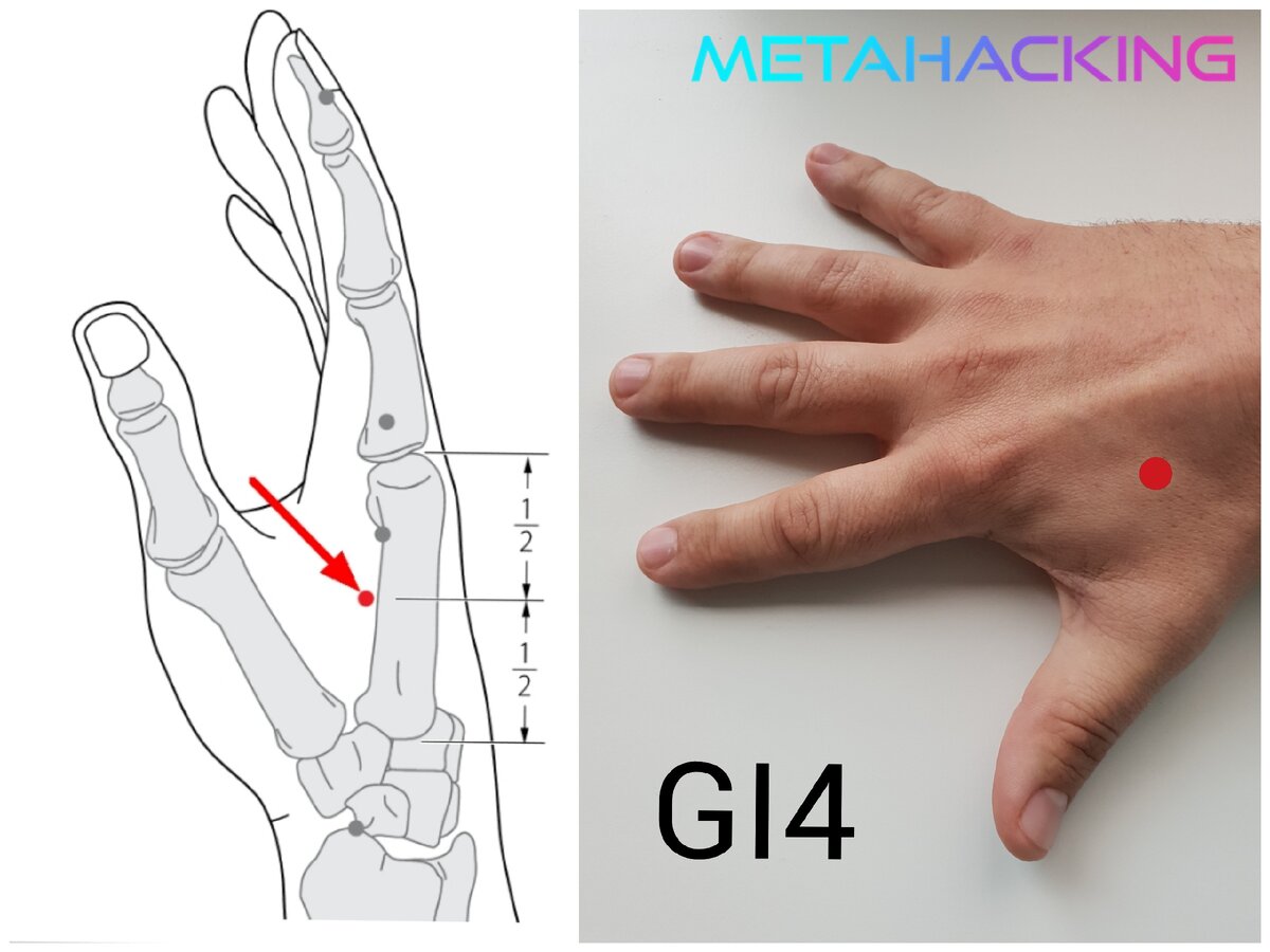 Точка p 6. Точка gi4. Gi10 точка акупунктуры. Точка gi 13. Акупунктурная точка gi 4.