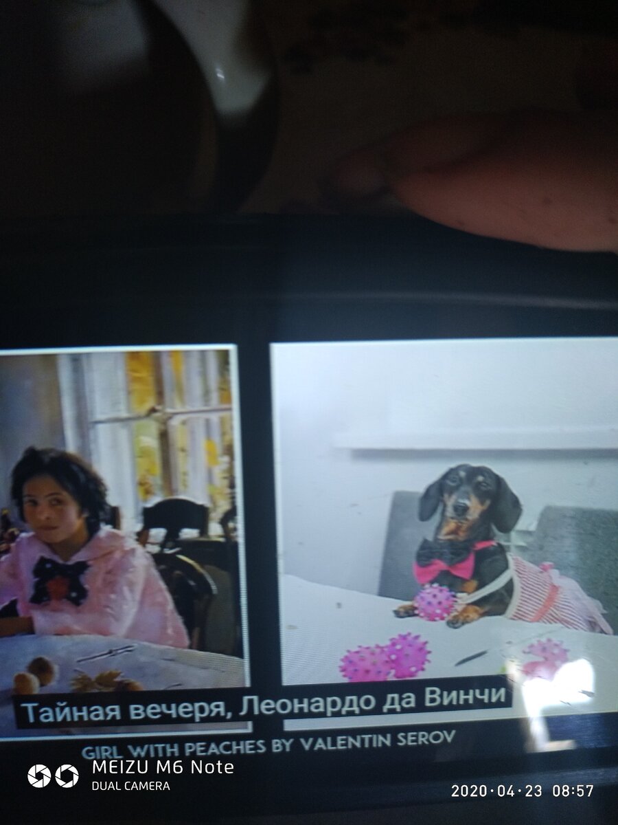 Такса с мячиками,а Девочка с персиками!