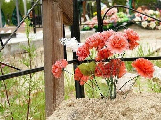  
Фото: Ноябрьск 24