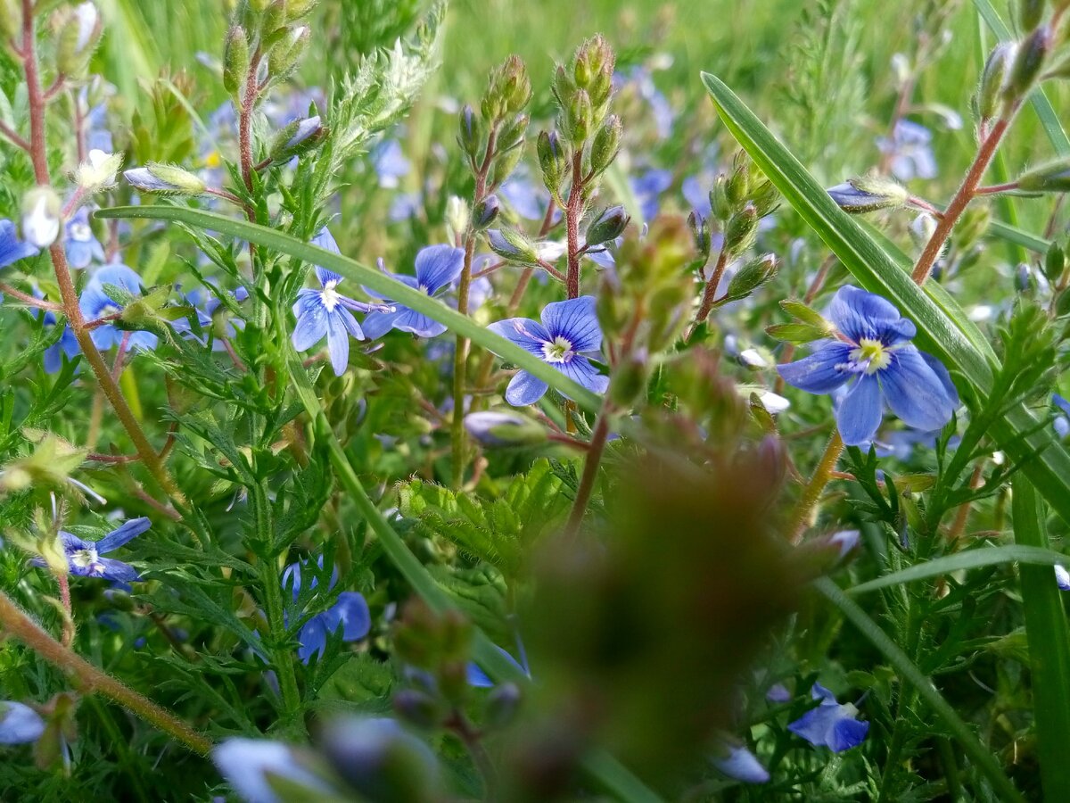 Фото автора.