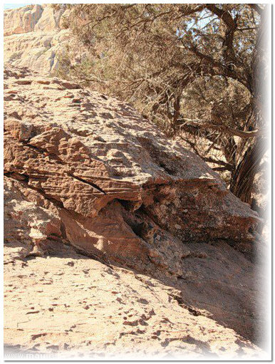 источник: яндекс картинки