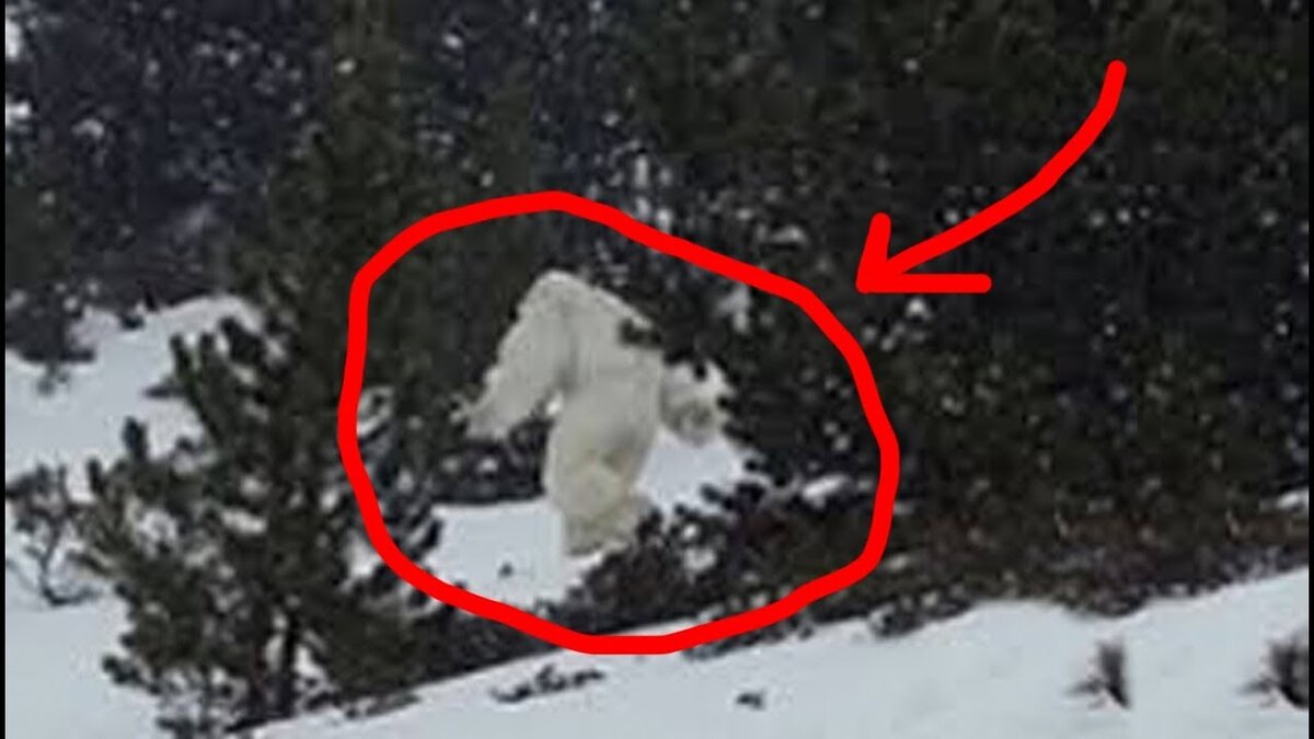Йети снежный человек фото очевидцев
