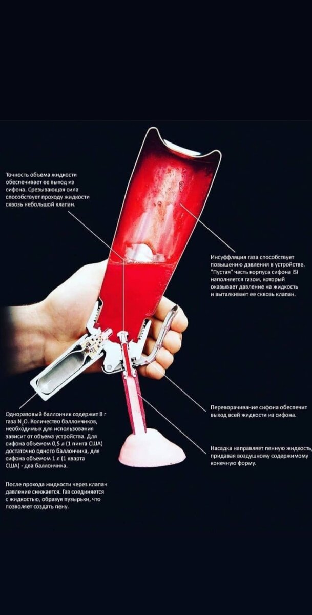 Кулинарный  сифон