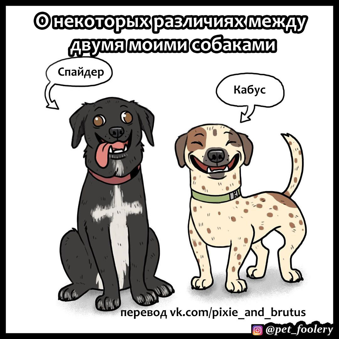 моя собака фанфик фото 87