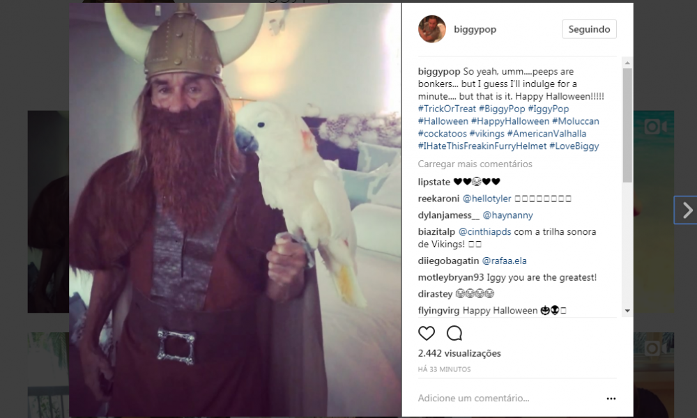 Фото из открытого источника "Яндекс картинки"