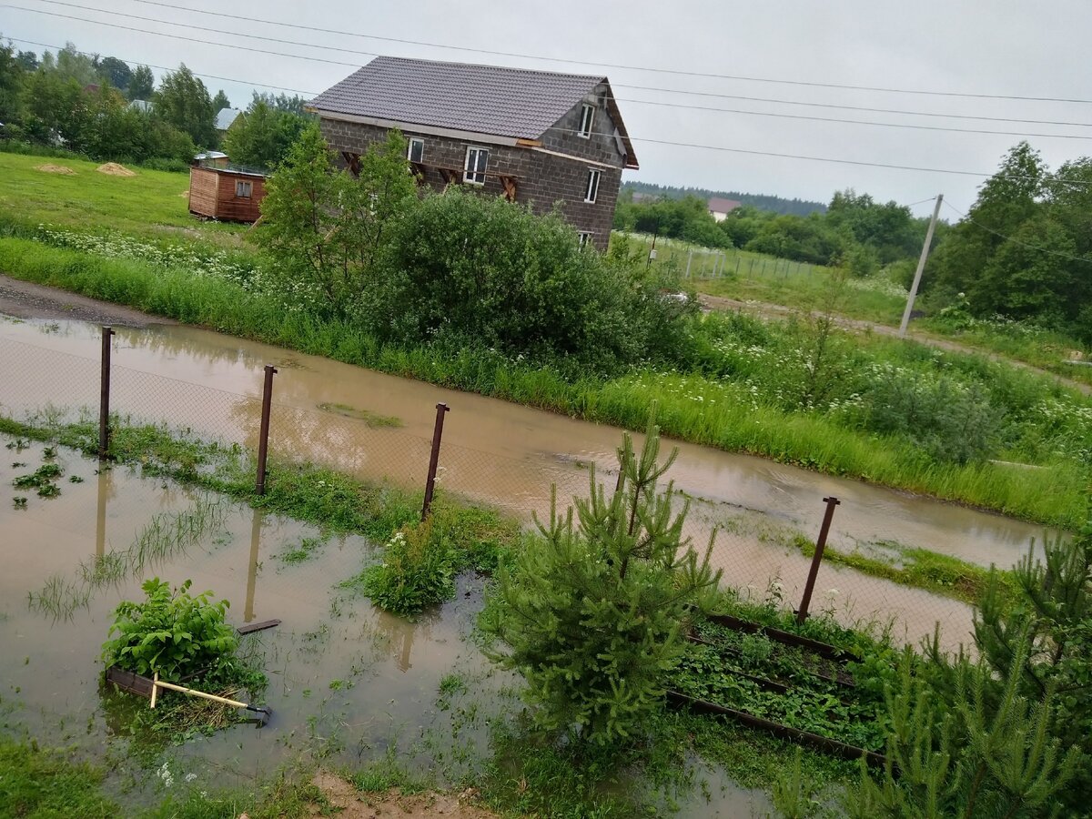 А это нас однажды летом затопило. Огород утонул...