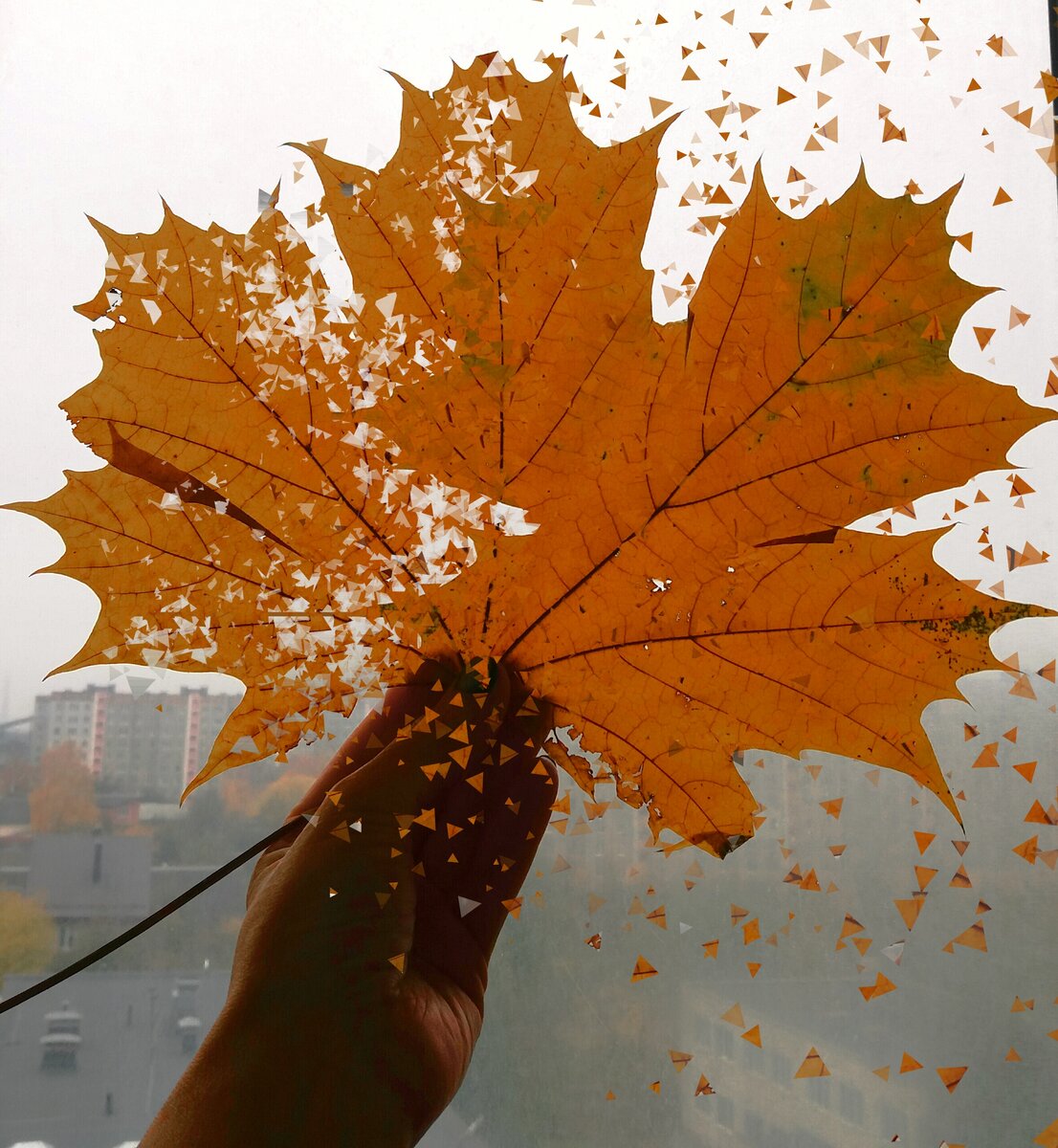 Фото добавлены для того, чтобы разделить вопросы и ответы 