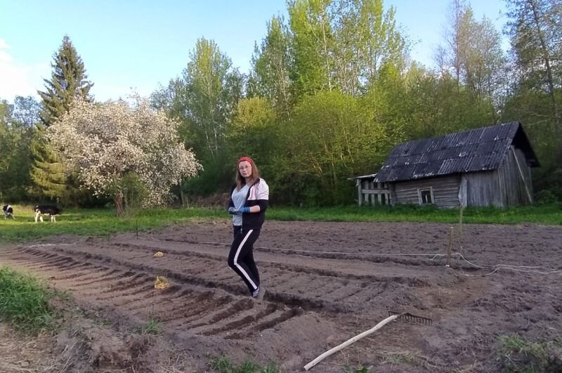 Весной этого года сажала овощи.