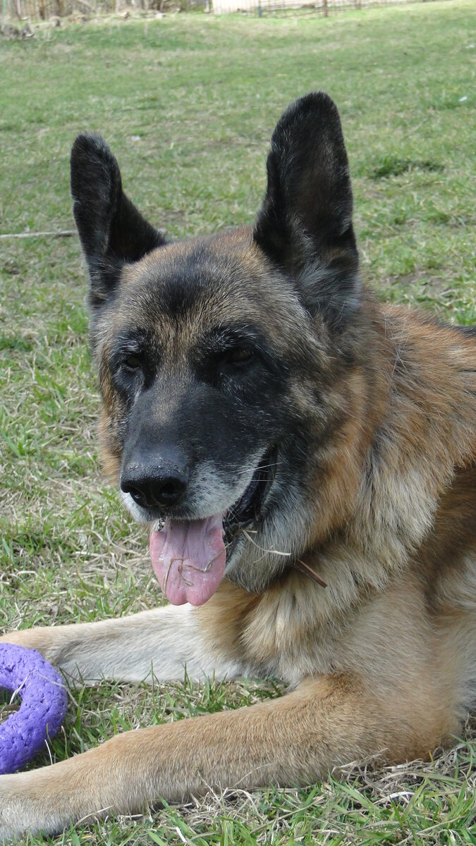 Хассо, май 2018. Фото автора. 