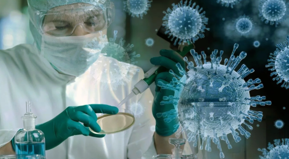 Учёные не покладая рук изучают особенности нового вируса.