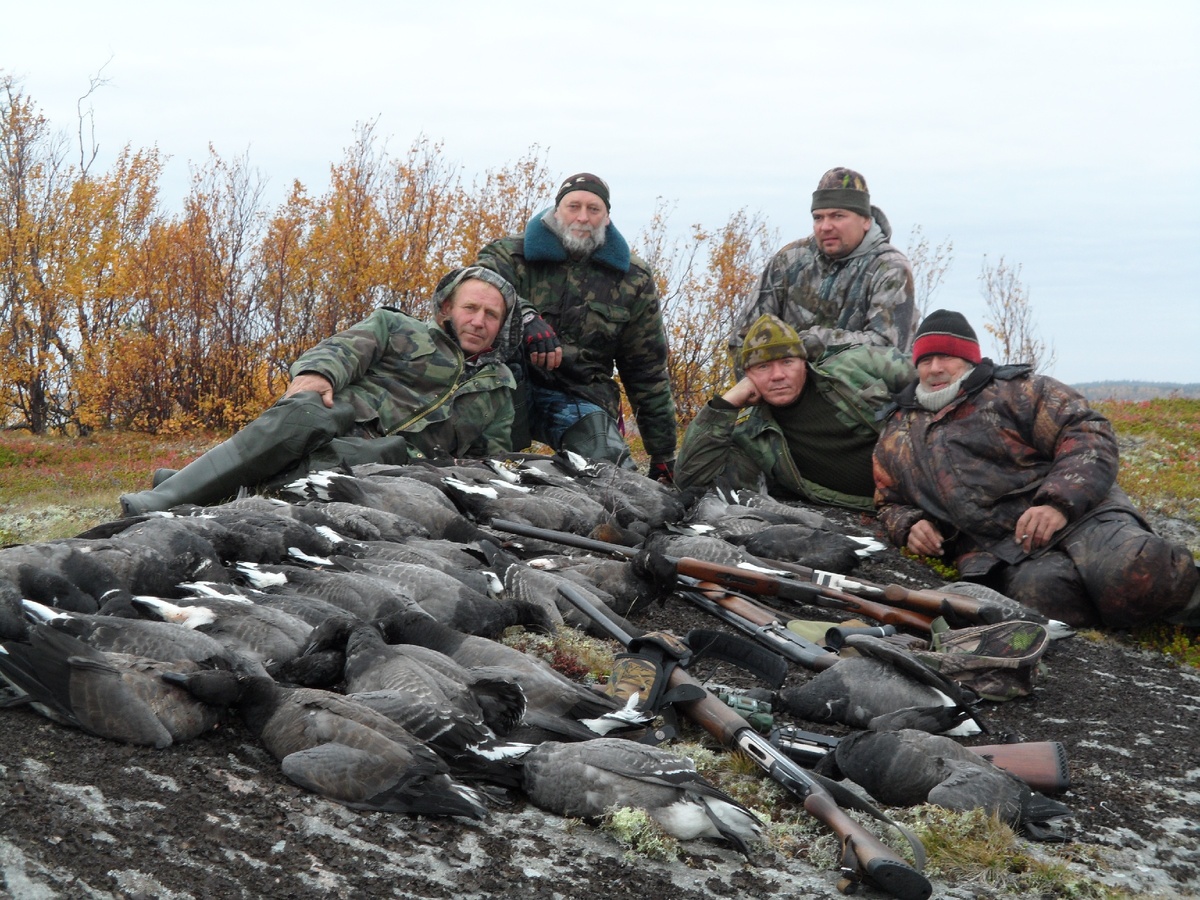 Охота на островах Белого моря