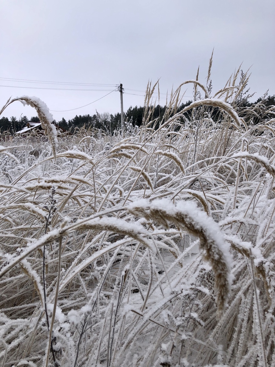 Фото из личного архива