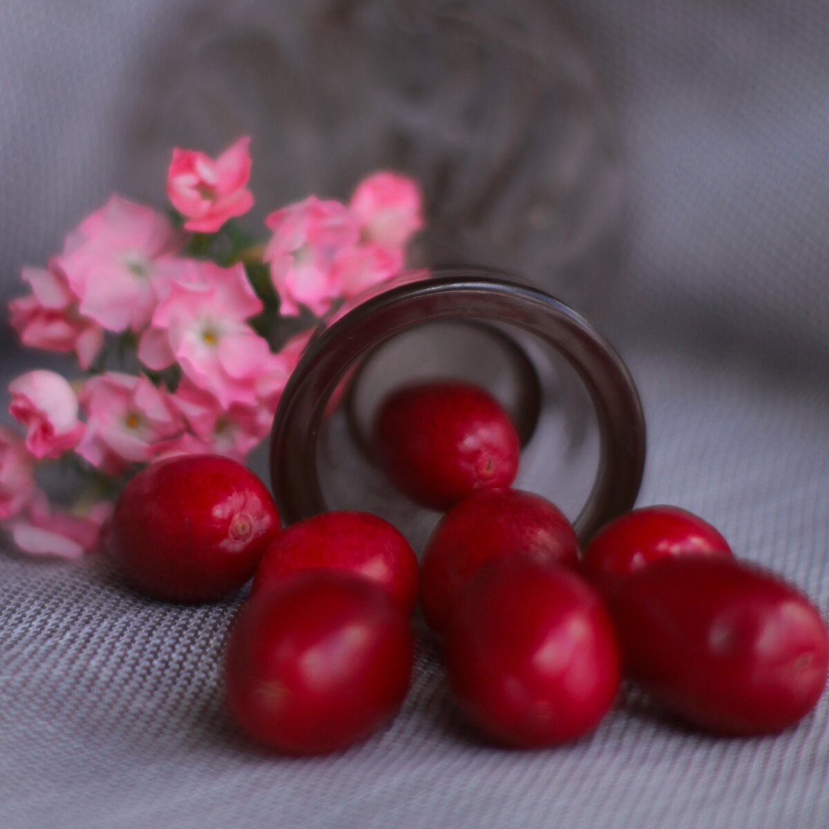 Барбарис полезен для всего организма