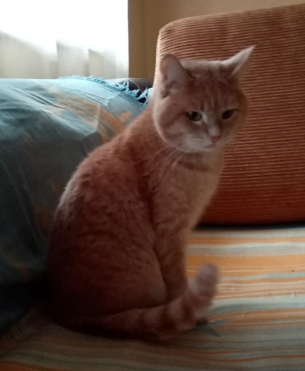 Фото автора.  Пробуждение.