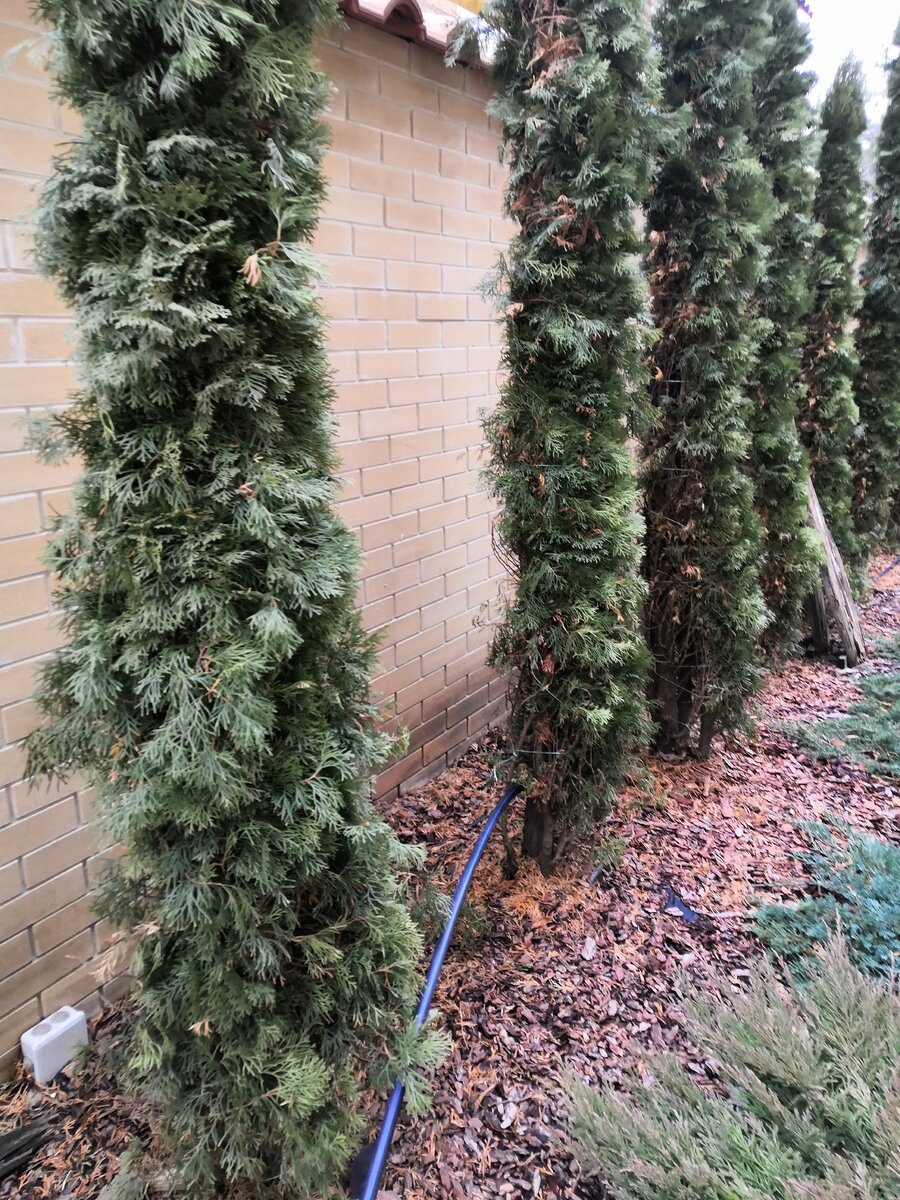 Это слишком