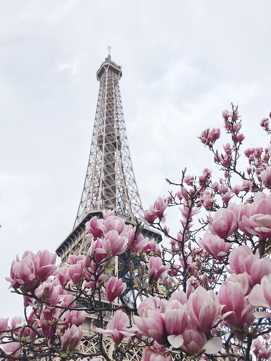 Фото автора © dima.easyart 