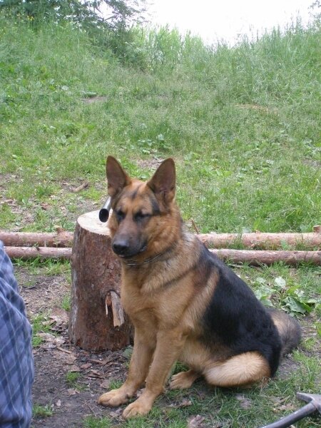Тверская обл. Рыбалка и ловля раков.