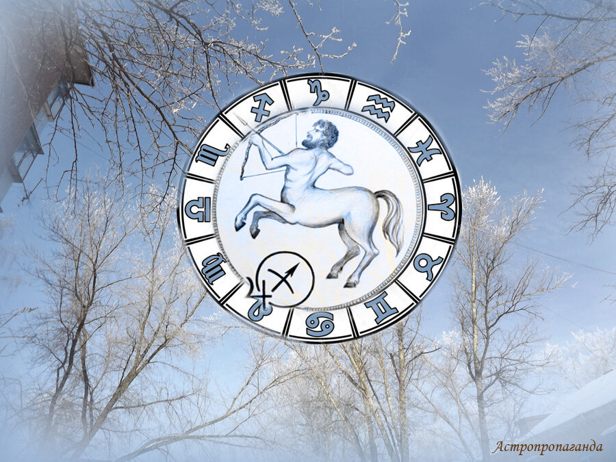 Коллаж Нины Стрелковой.