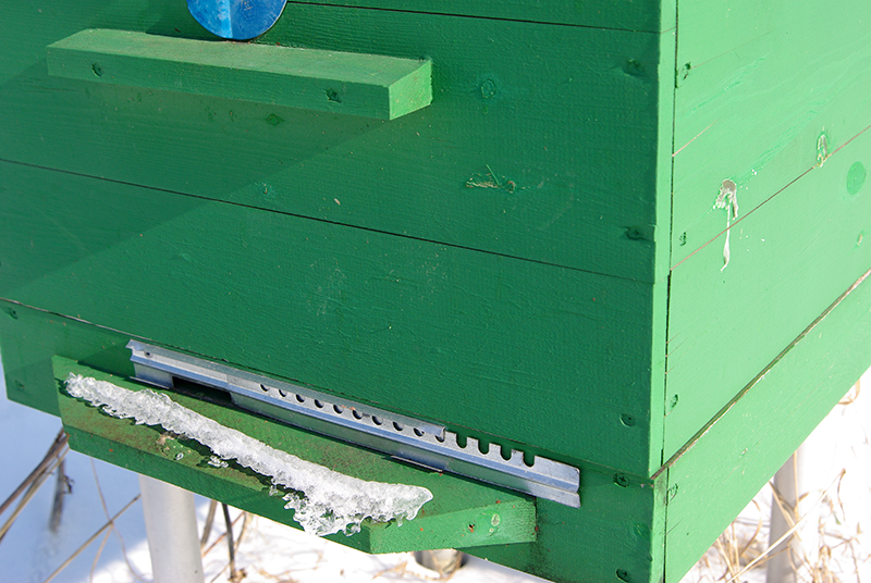 Видно, что за эти годы рассохлись доски на улье - появились щели, но краска как лежала ровным слоем, так и лежит, несмотря на то, что доски покоробило, она не отслоилась.