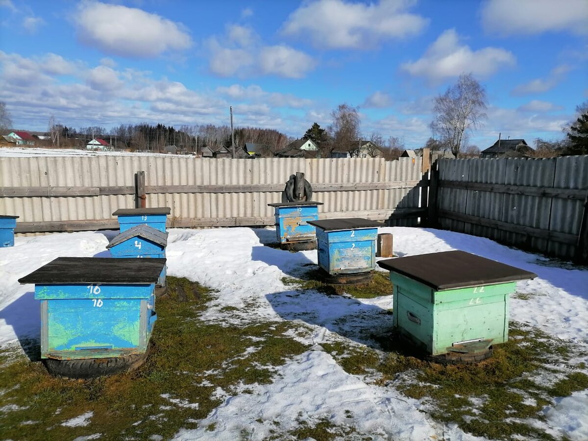 Пасека#Пасека большая, но на фото не вся.