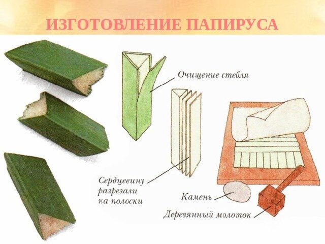 Короткие бревна для производства бумаги