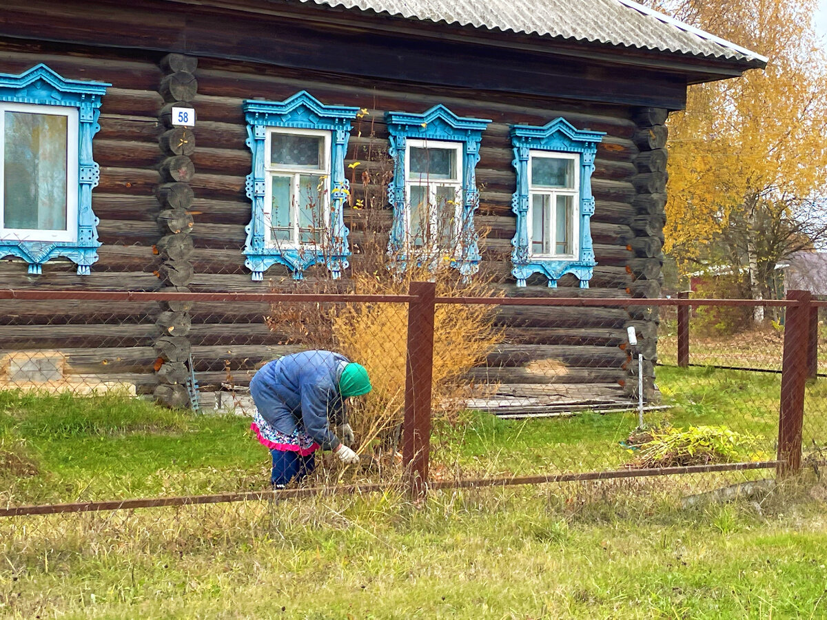 Во что сейчас превратилась деревня Галибиха, где в 90-е годы закрыли  больницу и почту. Показываю, как выглядят улицы и дома | Под зонтиком | Дзен