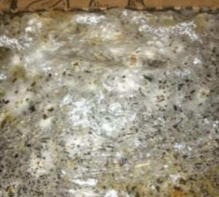 Признаки жизни