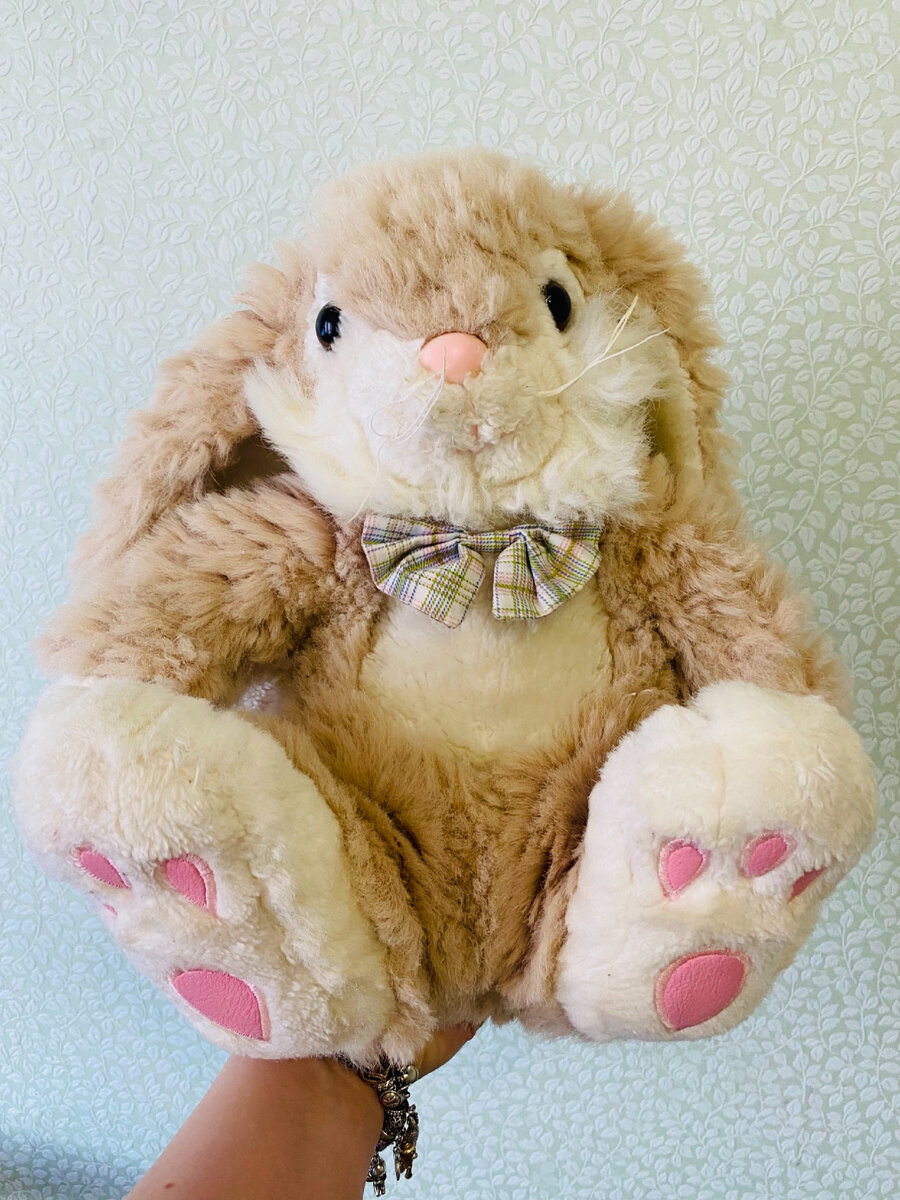 Любимый заяц. Фото автора