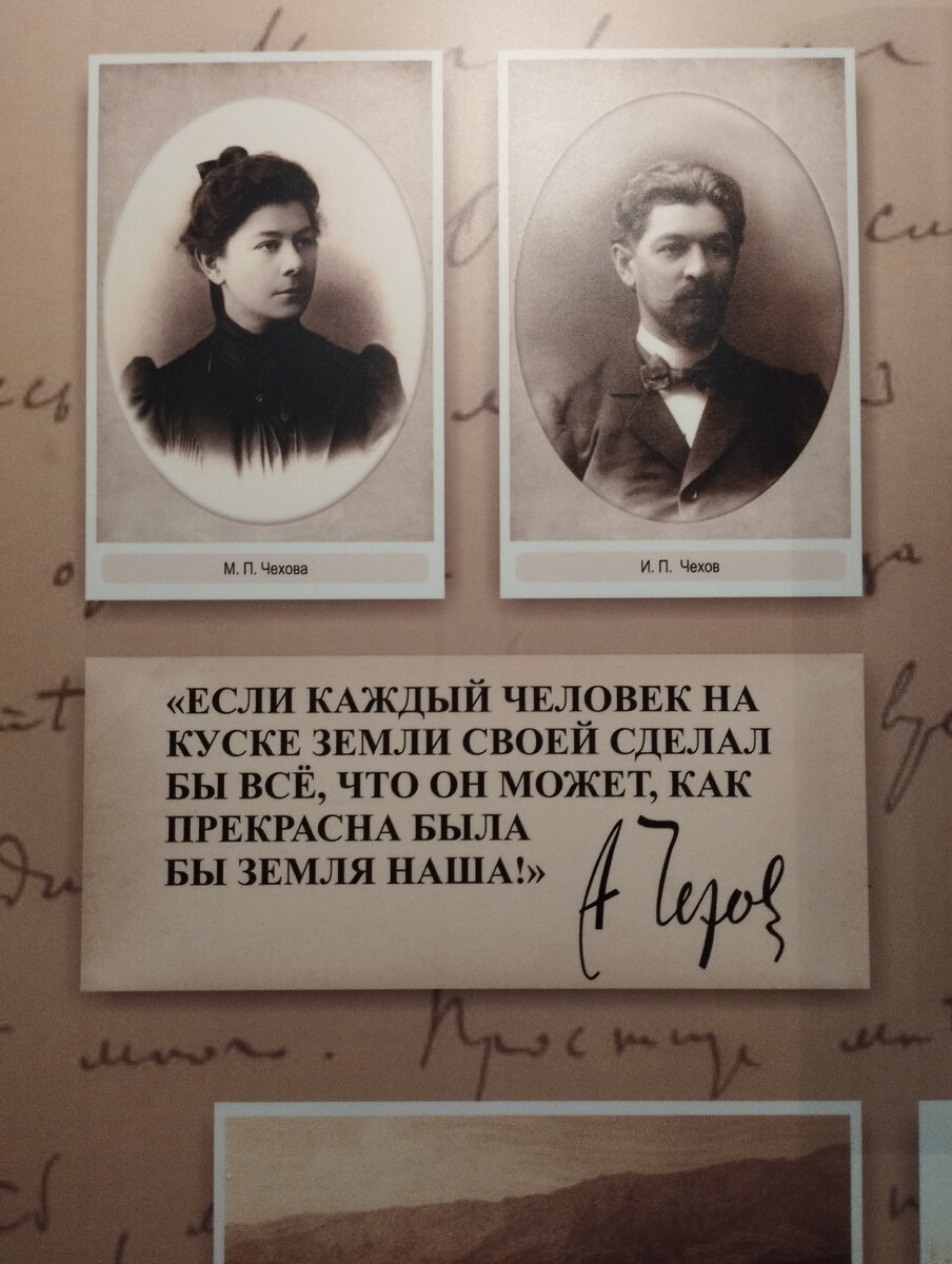 Экскурсия в Дом Чехова в Ялте. Очень рекомендую побывать | Жить в  Севастополе | Дзен