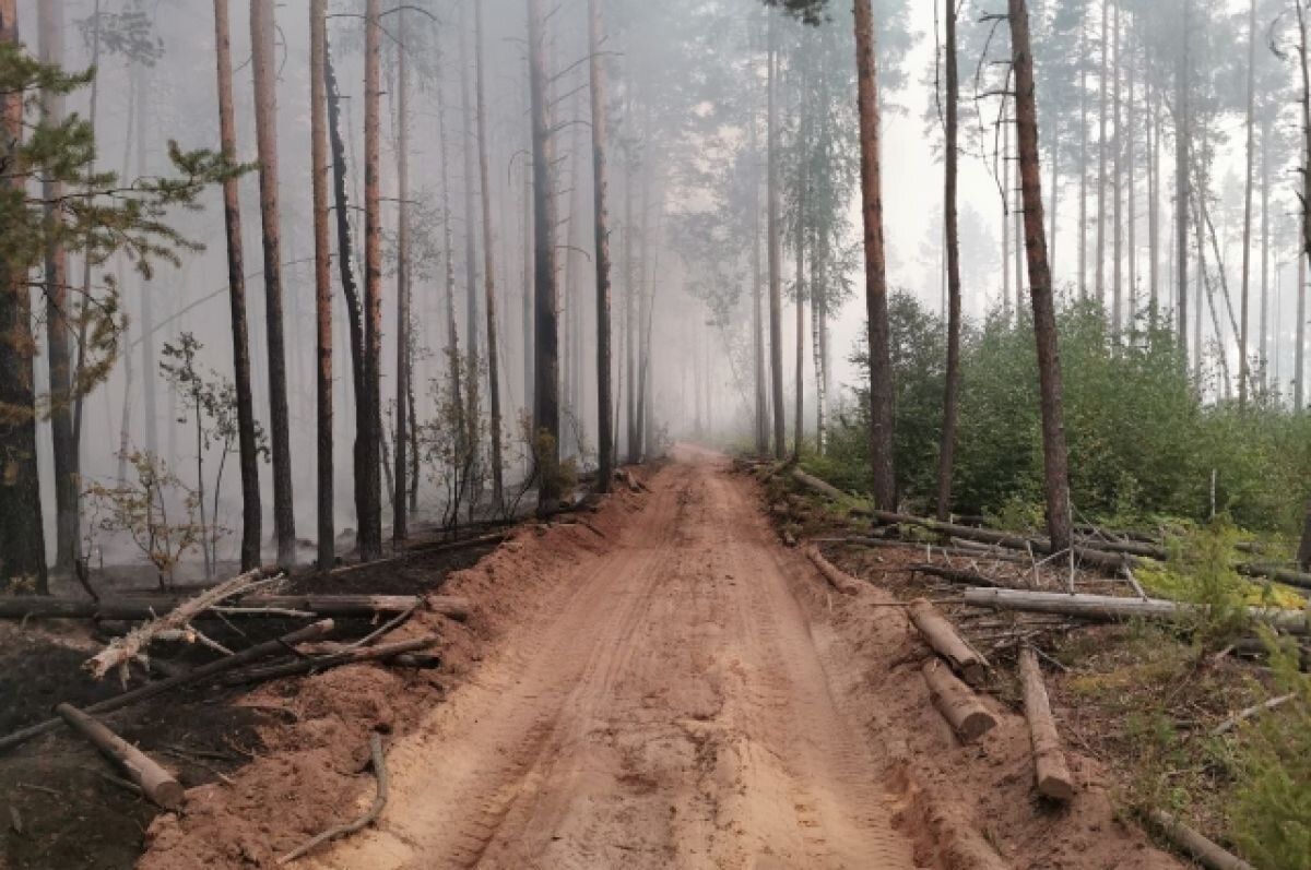    Лесной пожар в Воротынском районе ликвидирован