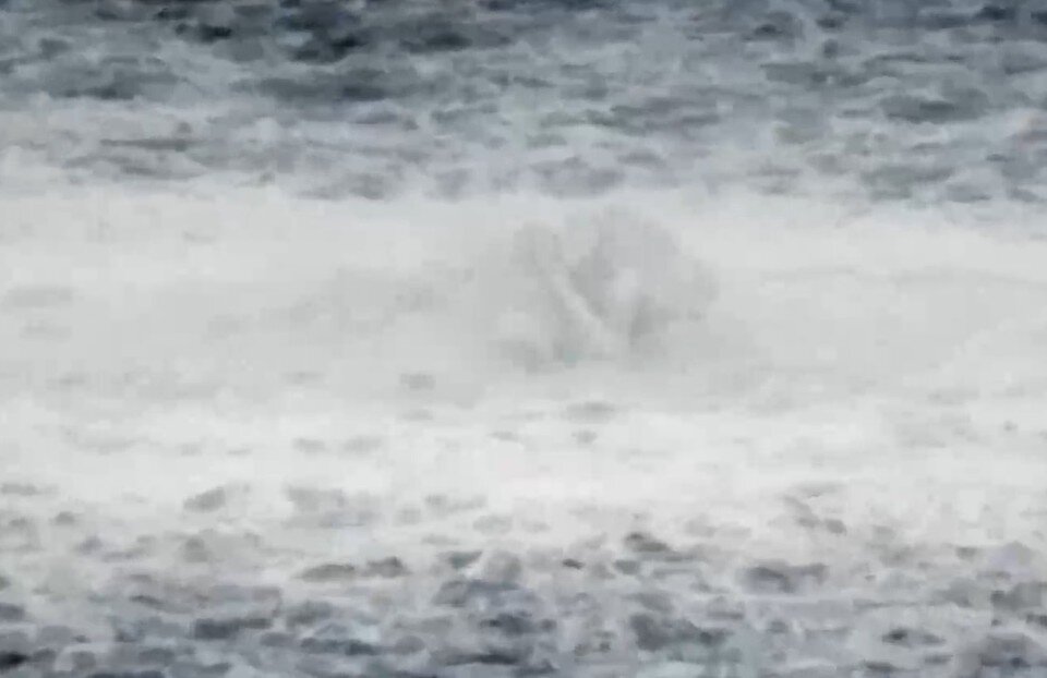     Зона выхода газа на поверхности воды составляет почти километр в диаметре  Кадр видео