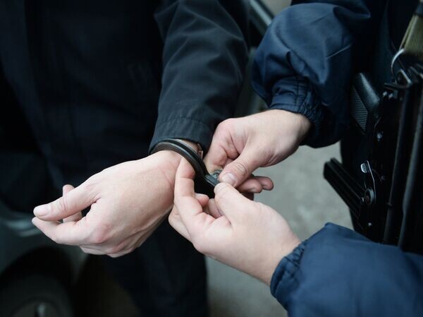   © РИА Новости Кирилл Каллиников