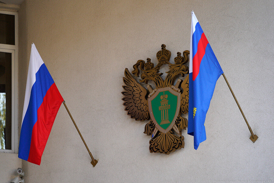 Фото: Виталий Невар / Новый Калининград