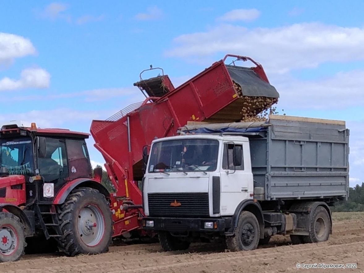 Это теперь уборку картофеля полностью осуществляет техника, а в те времена следом за картофелекопалкой (по-моему, именно так она называлась, не комбайном) полз трактор с прицепом и топали, то и дело кланяясь, люди с ведрами.