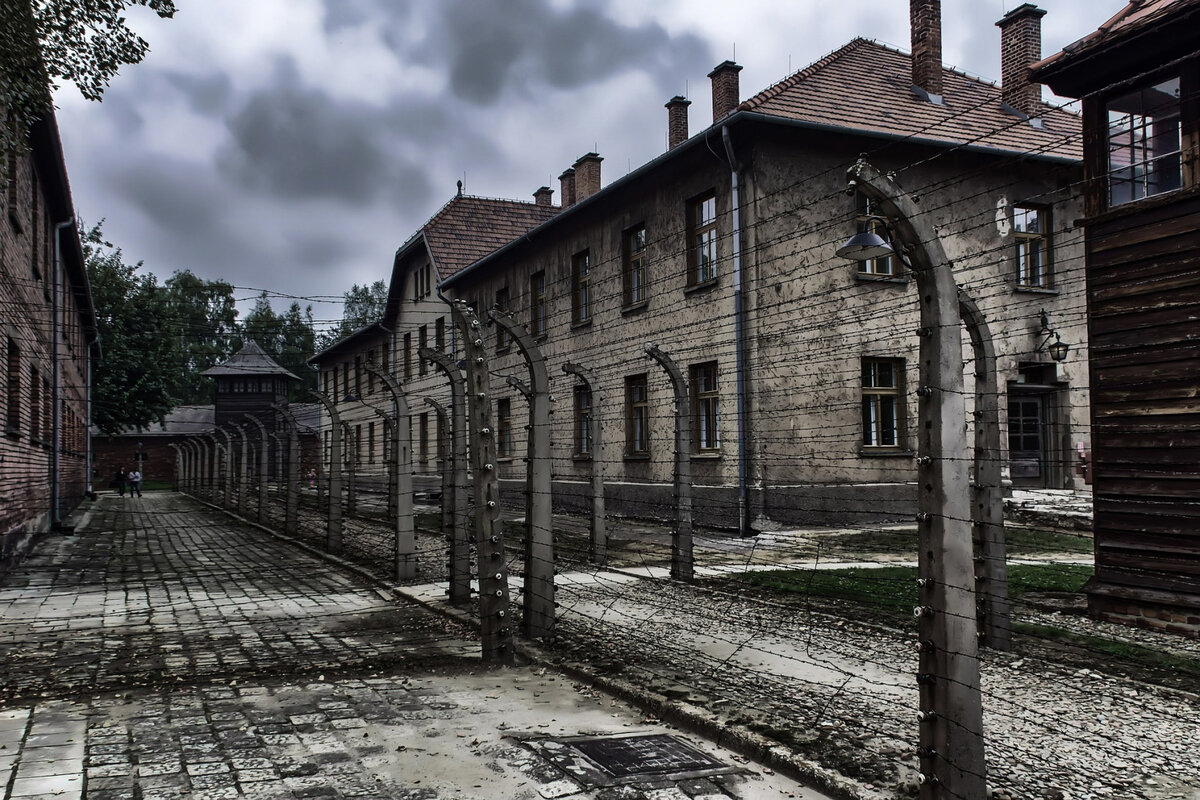Город освенцим в польше сегодня
